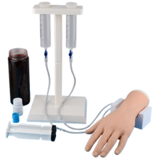 Adult IV Injection Practice Hand Kit Adult IV Injection Practice Hand Kit