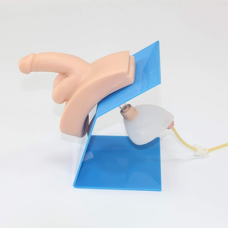 Small Male Catheterization Training Model, Dressed Version Small Male Catheterization Training Model, Dressed Version