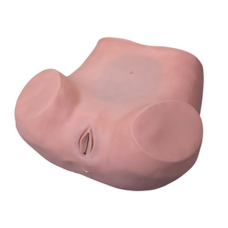 Gynaecological Skills Training Model