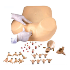 Advanced Gynaecological Examination Training Simulator