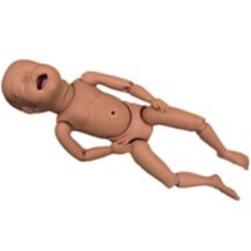 Advanced Newborn Baby Training Model Advanced Newborn Baby Training Model