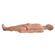 Advanced Unisex Nursing Training Manikin with Organs