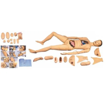 Advanced Nursing and Wound Care Training Manikin, A and B Versions