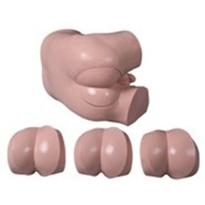 Advanced Digital Rectal Examination Training Simulator