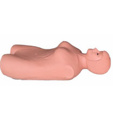 Abdominal Palpation Training Manikin